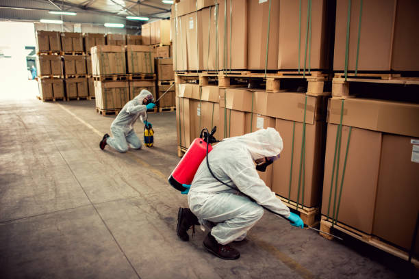 Best Local Pest Control Services  in Hawarden, IA