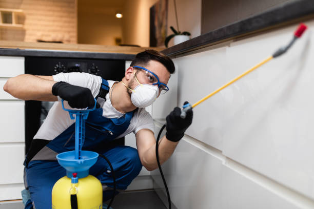 Best Commercial Pest Control Services  in Hawarden, IA