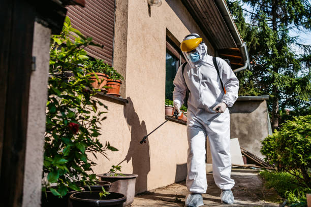 Best Local Pest Control Services  in Hawarden, IA