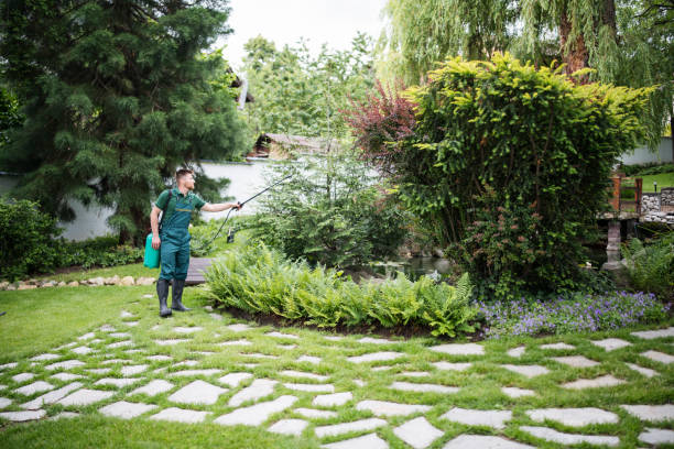Best Affordable Pest Control Services  in Hawarden, IA