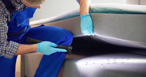 Trusted Hawarden, IA Pest Control Experts